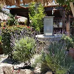 住宿加早餐酒店 朱利亚娜酒店 Charco del Pino