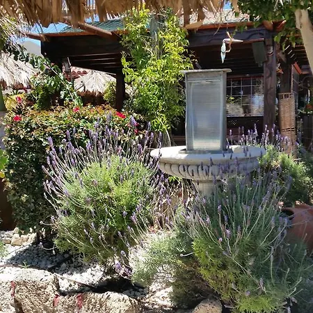 Oda ve Kahvaltı Casa Giuliana Charco del Pino